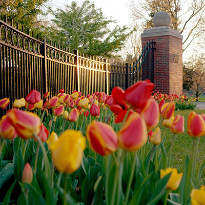 オハイオ大学｜中部大学 × オハイオ大学 学術交流協定締結 50周年